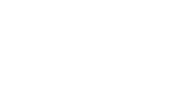 City Management Olten