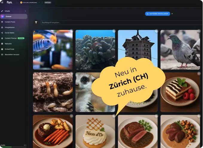 Übersichtsseite mit Kachel-Layout: Fische, Korallen, Gebäude und Taube sowie verschiedene Speisen; gelbes Sprechblasen-Label „Neu in Zürich (CH) Zuhause“.