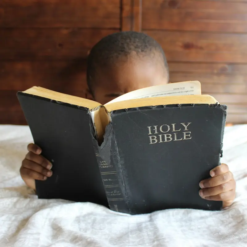 Bibel entstauben