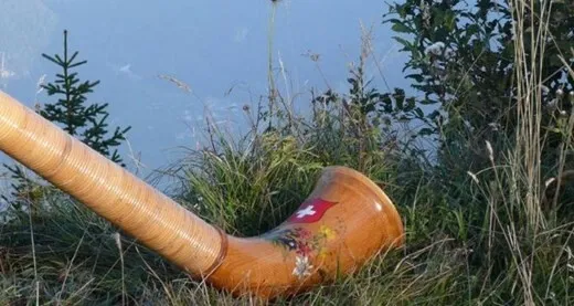 Orangefarbener, mit Muster bemalter Helm liegt im hohen Gras am Waldrand, ein gebogenes Rohr ragt seitlich in den Vordergrund, blauer Himmel im Hintergrund.