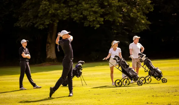 Vier Personen auf einem Golfplatz: ein Spieler trägt einen Schläger, zwei gehen mit Golfbags, zwei schieben Kinderwagen mit Golfbags über das Grün bei Abendlicht.