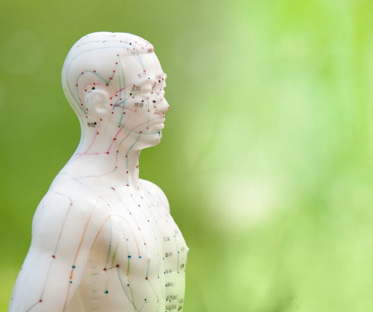 Weiße Akupunkturfigur im Profil neben zarten weißen Blüten vor grünem, unscharfem Hintergrund.