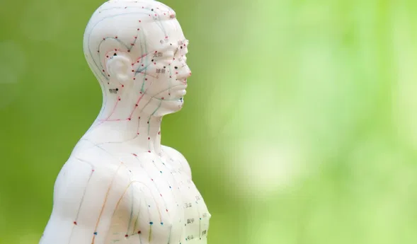 Weiße Akupunkturfigur im Profil neben zarten weißen Blüten vor grünem, unscharfem Hintergrund.