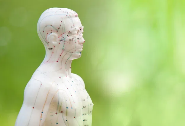 Weiße Akupunkturfigur im Profil neben zarten weißen Blüten vor grünem, unscharfem Hintergrund.