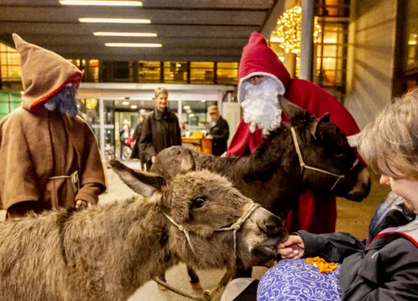 Zwei Esel stehen in einer urbanen Umgebung, während eine Frau ihnen Futter anbietet. Im Hintergrund sind Personen in traditionellen Kostümen, darunter ein Mann mit rotem Umhang und weißem Bart sowie ein weiterer in braunem Gewand. Beleuchtung und festl...