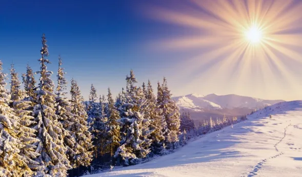 Schneebedeckte Tannenbäume im Vordergrund, im Hintergrund schneebedeckte Berge unter einem klaren blauen Himmel mit strahlender Sonne.