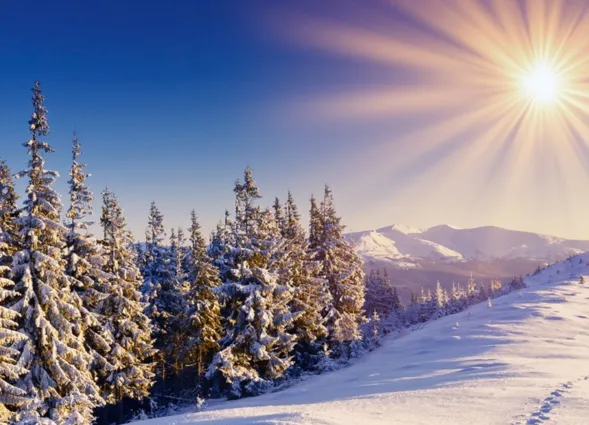 Schneebedeckte Tannenbäume im Vordergrund, im Hintergrund schneebedeckte Berge unter einem klaren blauen Himmel mit strahlender Sonne.