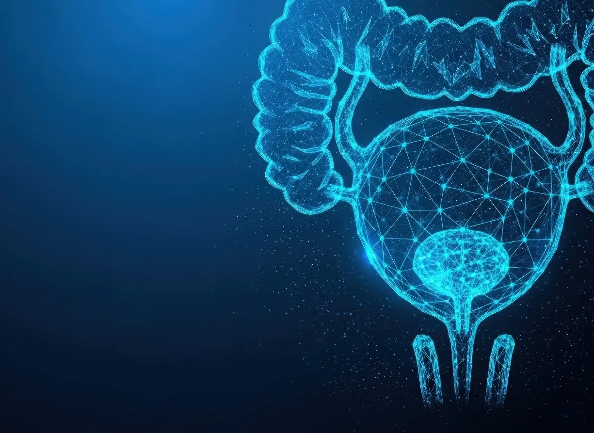 Grafische Darstellung eines menschlichen Harnsystems in blauer, leuchtender Linienstruktur auf dunklem Hintergrund, einschließlich Blase und Harnleiter.