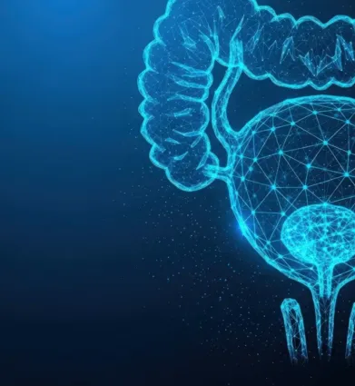 Grafische Darstellung eines menschlichen Harnsystems in blauer, leuchtender Linienstruktur auf dunklem Hintergrund, einschließlich Blase und Harnleiter.