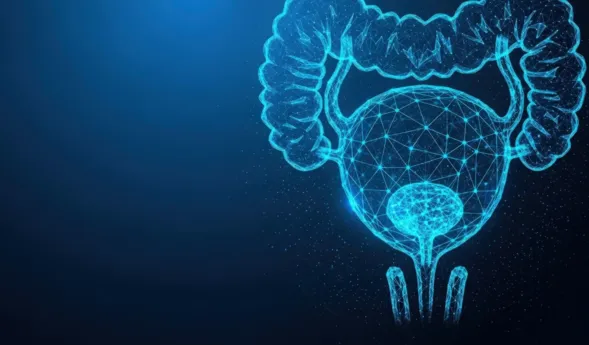 Grafische Darstellung eines menschlichen Harnsystems in blauer, leuchtender Linienstruktur auf dunklem Hintergrund, einschließlich Blase und Harnleiter.