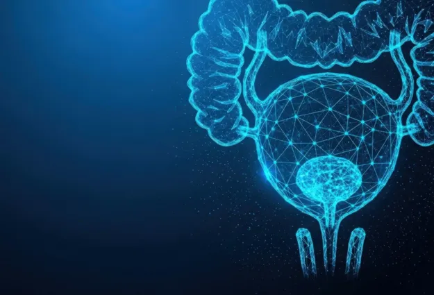 Grafische Darstellung eines menschlichen Harnsystems in blauer, leuchtender Linienstruktur auf dunklem Hintergrund, einschließlich Blase und Harnleiter.