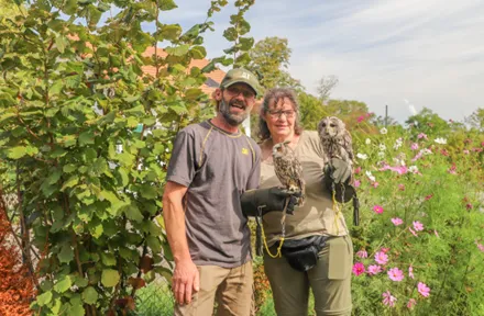 Mann und Frau stehen in einem Garten mit bunten Blumen, beide halten eine Eule in der Hand. Der Mann trägt ein graues T-Shirt und eine Cap, die Frau hat eine Brille und trägt ein helles Oberteil.