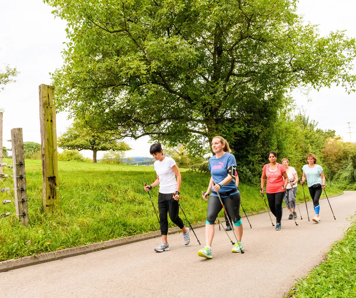 Fünf Personen beim Nordic Walking auf einem Weg durch eine grüne Landschaft.
