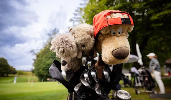 Plüschtiere in Golfbags: Ein Hund und ein Bär mit roter Kappe ragen zwischen Schlägern hervor; Golfplatz und Spieler im Hintergrund.