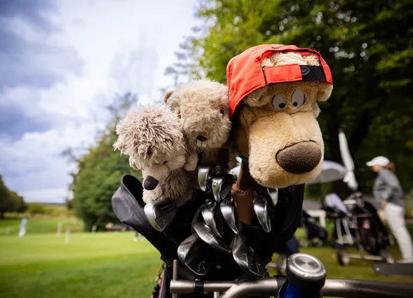 Plüschtiere in Golfbags: Ein Hund und ein Bär mit roter Kappe ragen zwischen Schlägern hervor; Golfplatz und Spieler im Hintergrund.