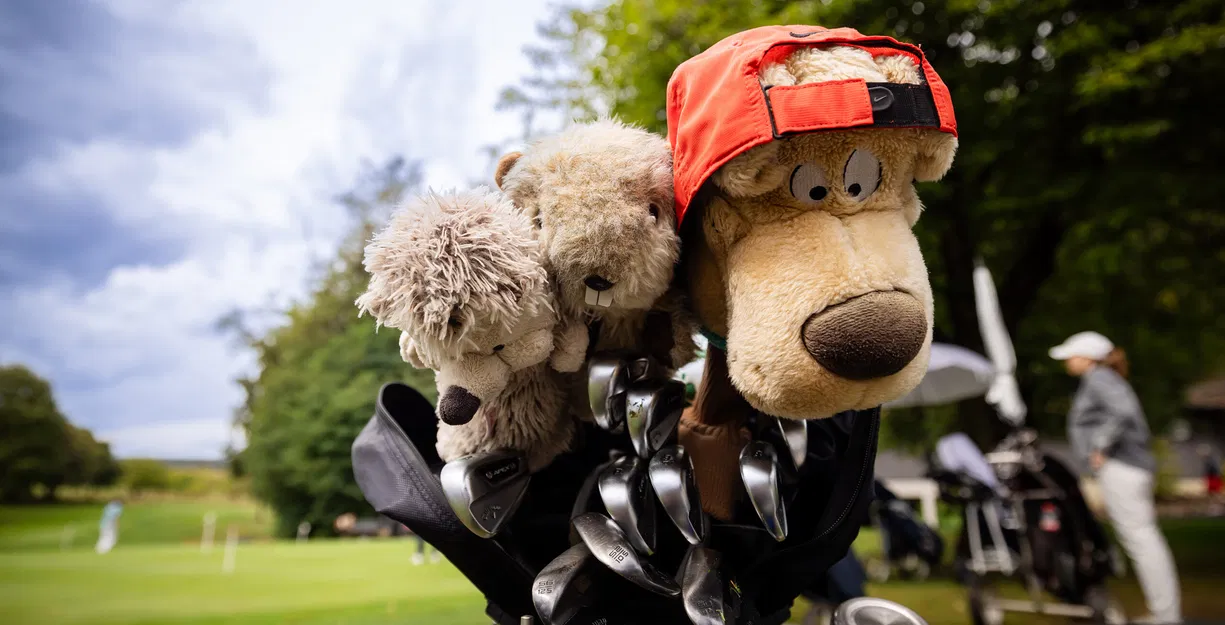 Plüschtiere in Golfbags: Ein Hund und ein Bär mit roter Kappe ragen zwischen Schlägern hervor; Golfplatz und Spieler im Hintergrund.