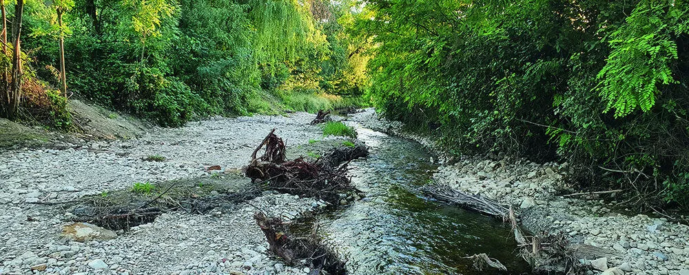 Hitze im Aargau: Wie mit Wasserknappheit umgehen?