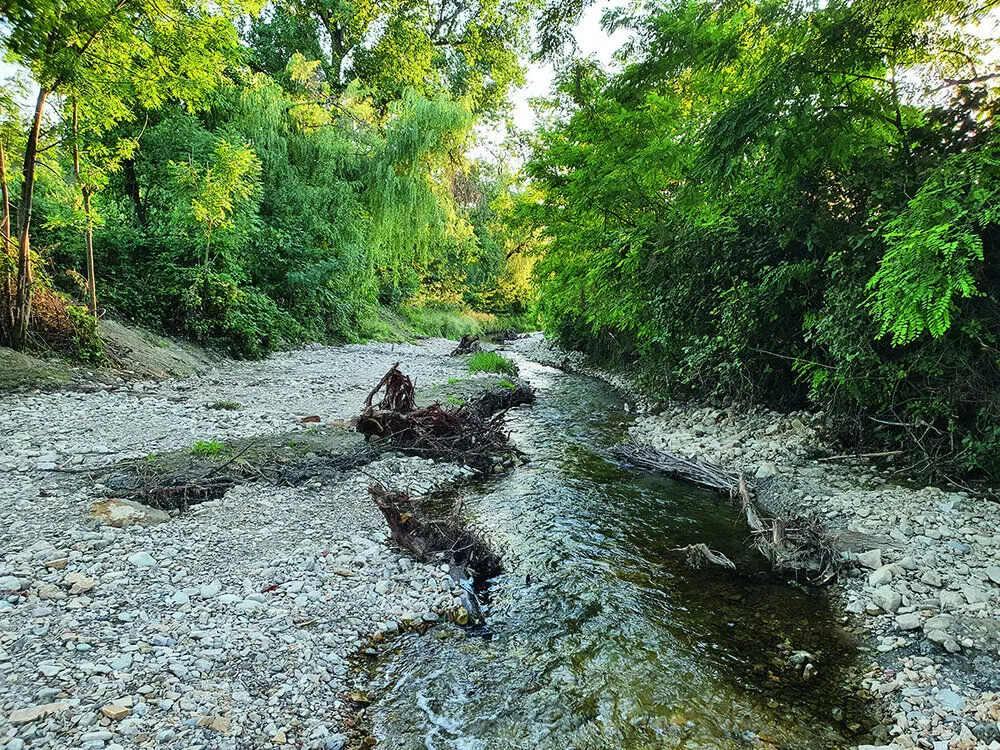 Hitze im Aargau: Wie mit Wasserknappheit umgehen?