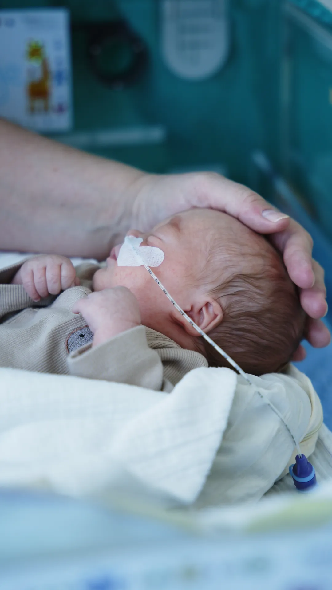 Nationales Fest am Weltfrühgeborenentag