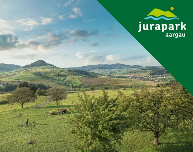 Forschung im Jurapark - so entsteht die Praxis Forschung im Jurapark - so entsteht die Praxis