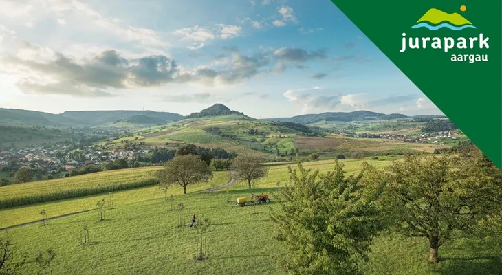 Forschung im Jurapark - so entsteht die Praxis