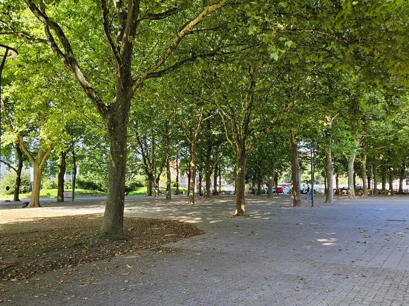 Maienzugplatz in Aarau