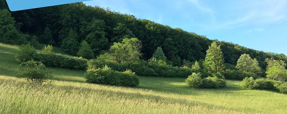 Eröffnung Pop-up: Ökologische Infrastruktur