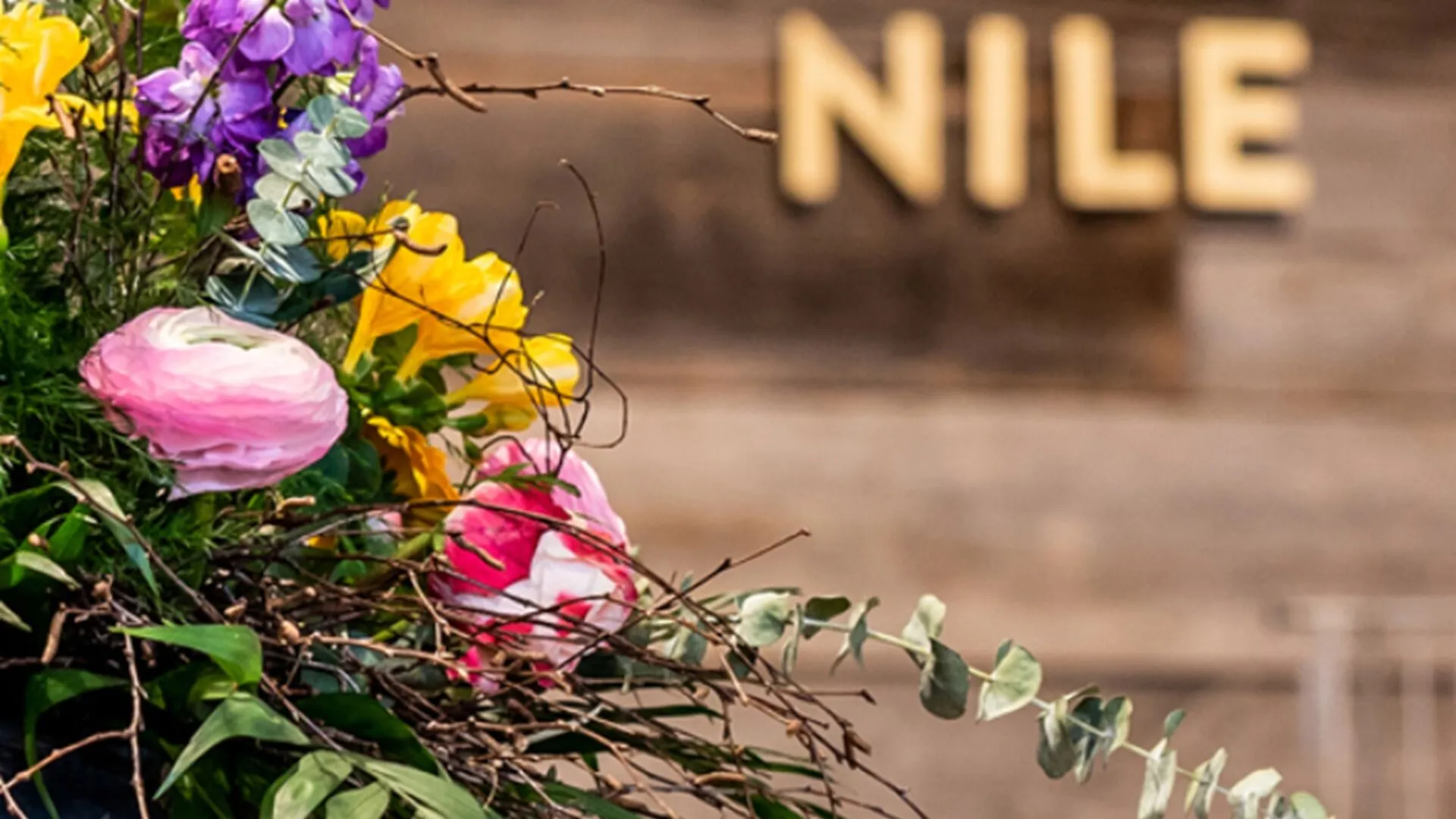 Nile Store 
