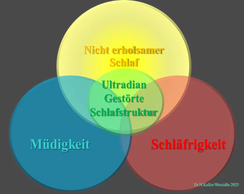 Vortrag