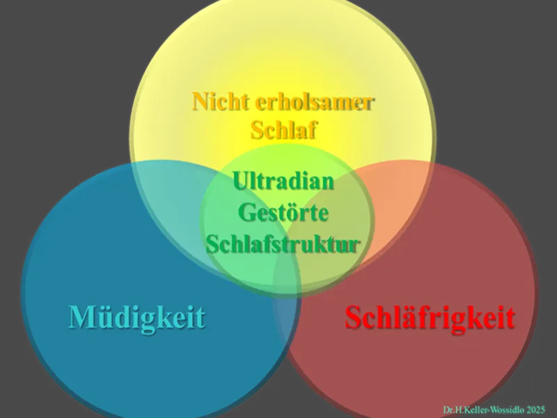 Vortrag