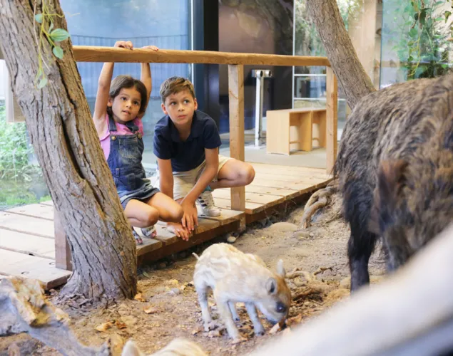 Tipps für kühle und regnerische Sommertage Tipps für kühle und regnerische Sommertage