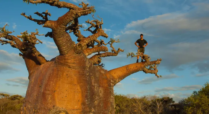 Der Entdecker Der Entdecker