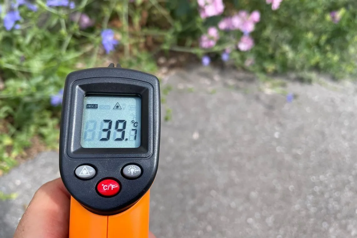 Klimaspaziergänge Klimaspaziergänge