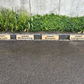 Trailnetz im Einklang mit der Natur