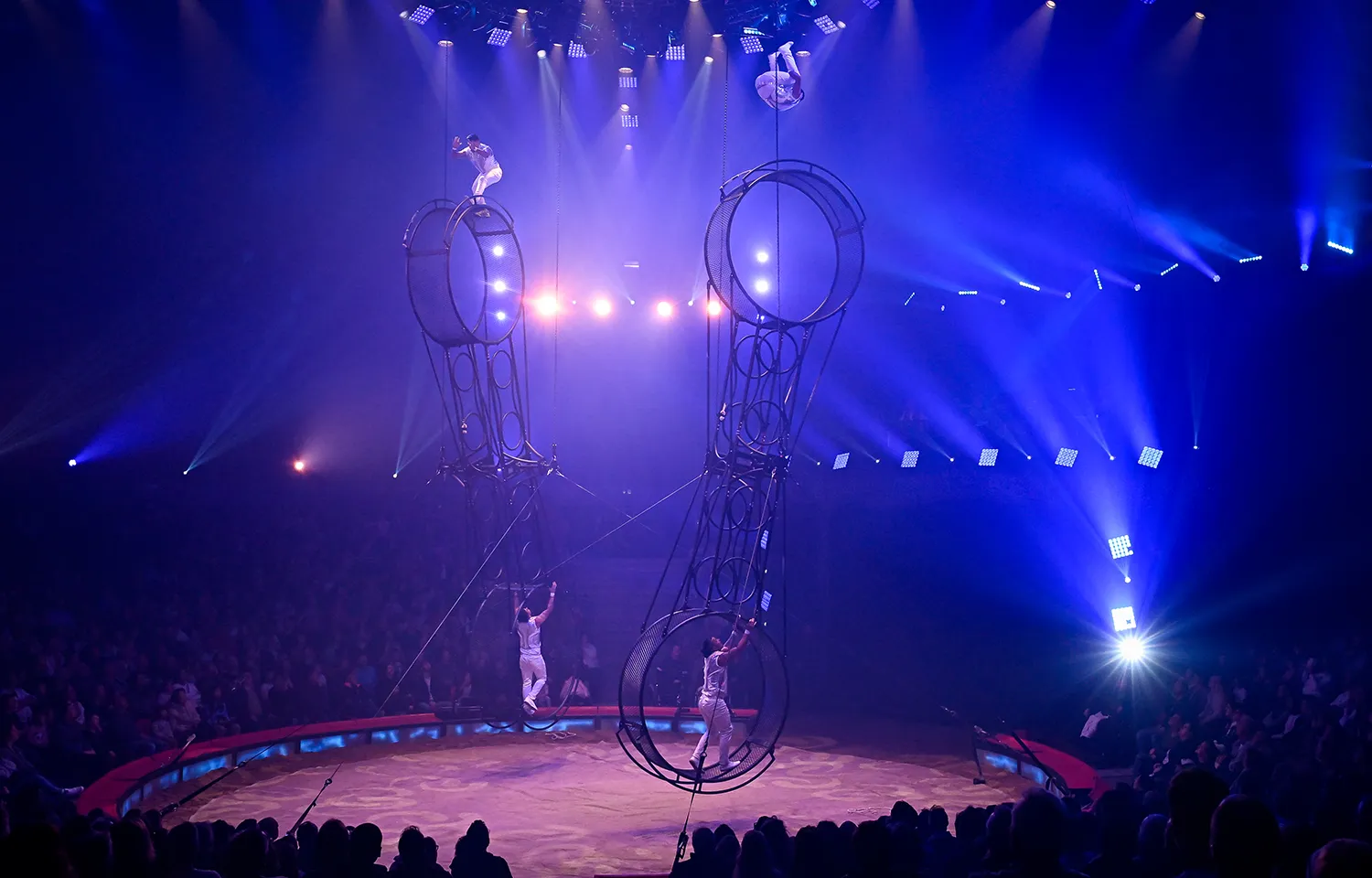 Circus Knie in Aarau