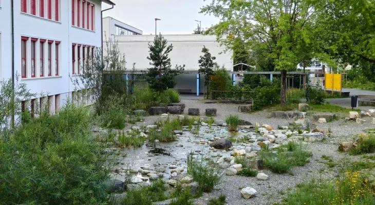 Neue Feuchtfläche in Siedlungen: Wie und wozu?