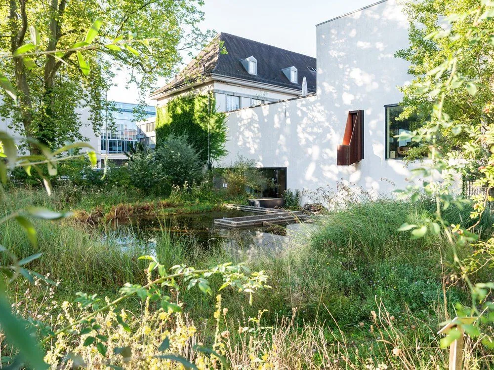 Familiensommer: Warme und kühle Tierverstecke Familiensommer: Warme und kühle Tierverstecke