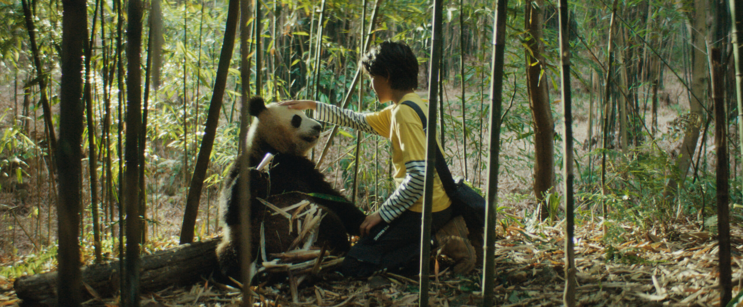 Hello Family: Moon der Panda