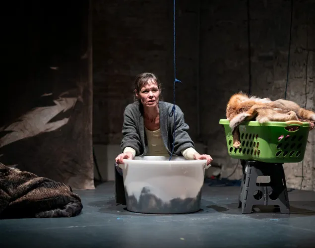 Zum Beispiel Wölfe Zum Beispiel Wölfe