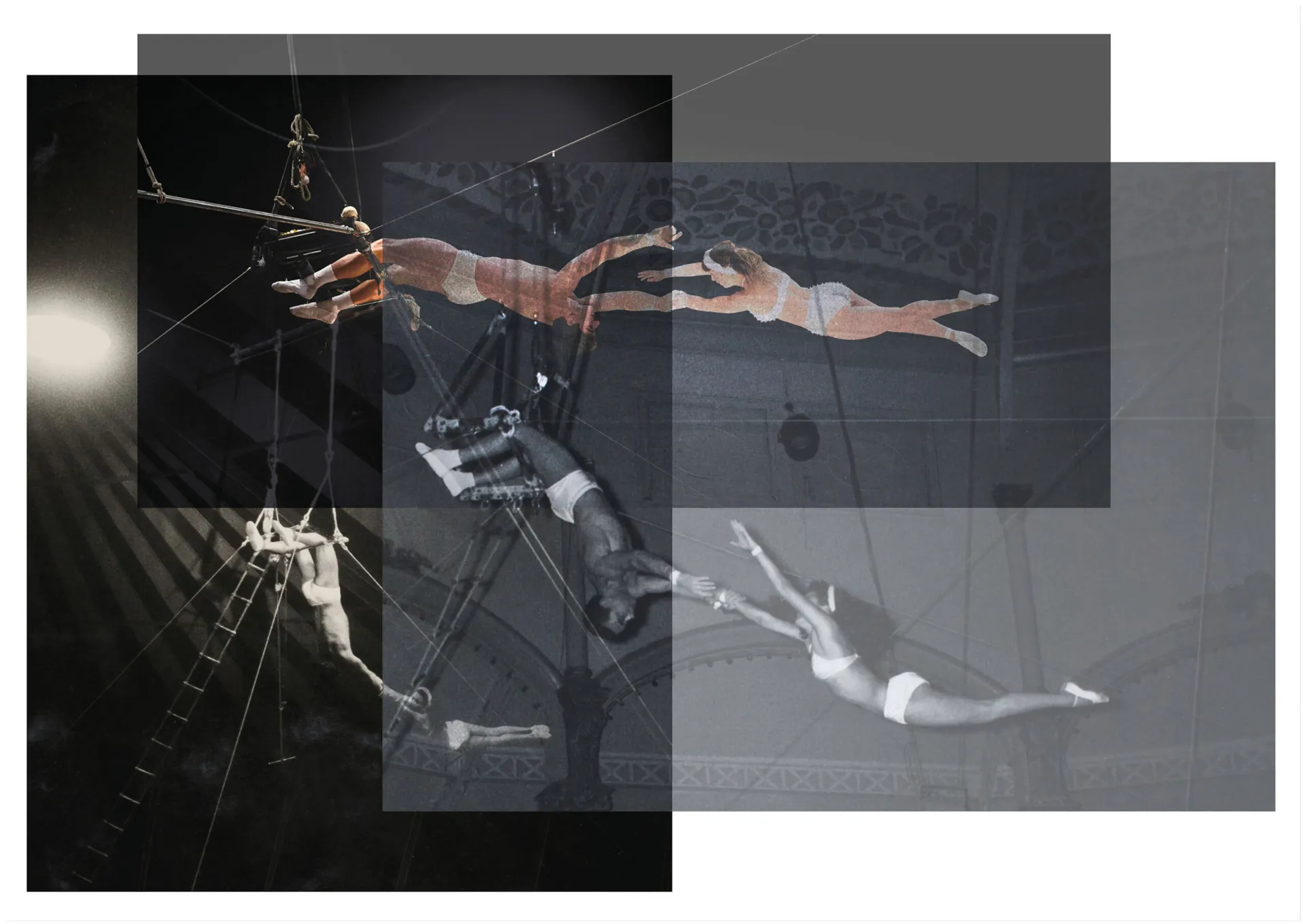 cirqu' | Suzanne: une histoire du cirque cirqu' | Suzanne: une histoire du cirque