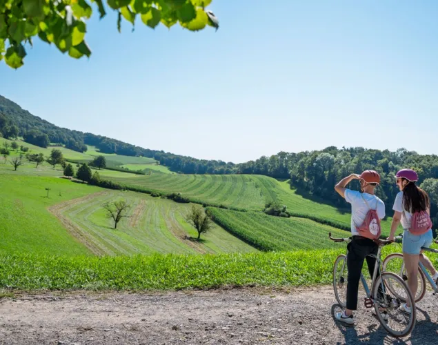 Die erlebnisreiche Veloregion Aarau