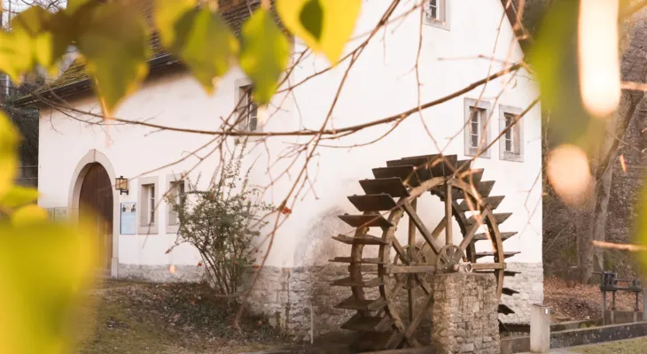 Öffentlicher Mahltag in der Schlossmühle