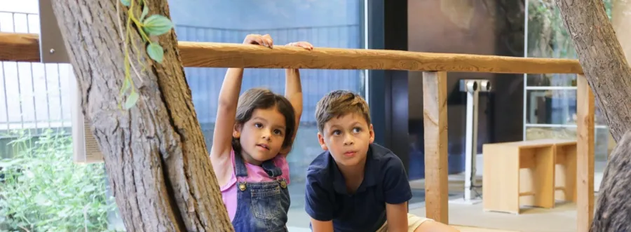 Kinder und Erwachsene können mit allen Sinnen selbstständig ihre Neugierde stillen.