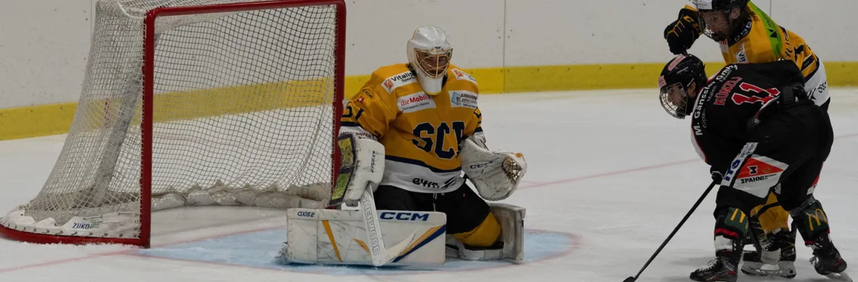 Argovia Stars - HC Prättigau-Herrschaft