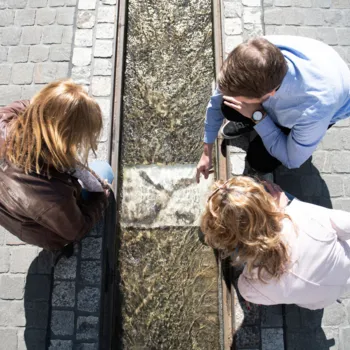 Wasser in Aarau - einst und heute