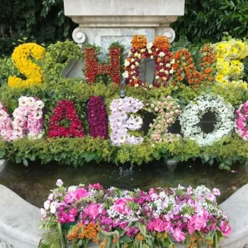 Brunnenführung am Maienzugvorabend