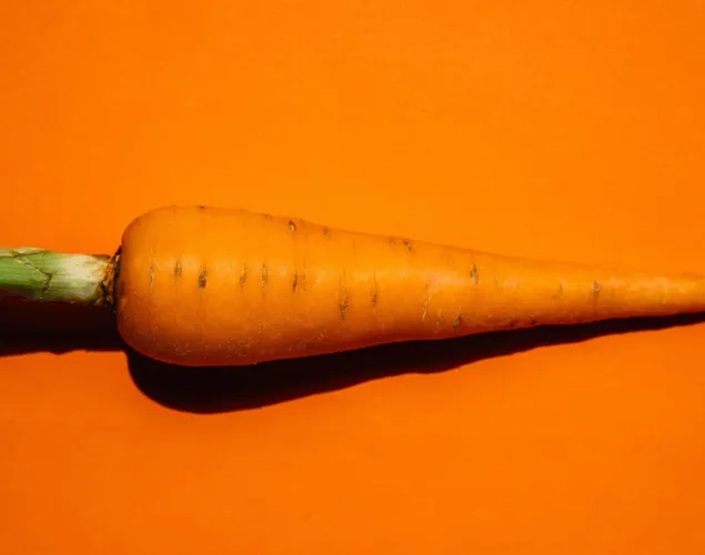 Rüeblisounds Rüeblisounds