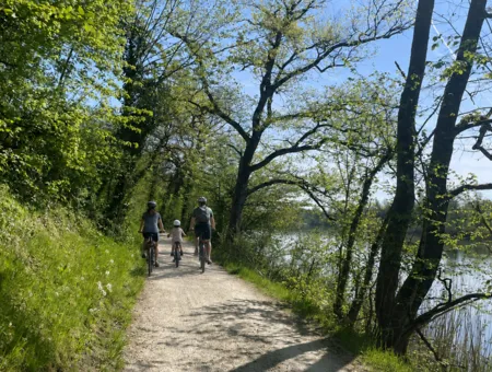 Aare-Rundtour
