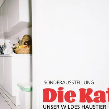Neue Sonderausstellung ab 25. September 2026 «Die Katze. Unser wildes Haustier» | Naturama Aargau