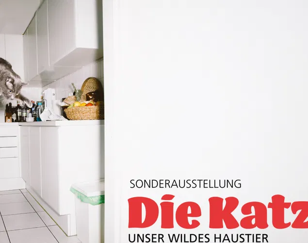 Neue Sonderausstellung ab 25. September 2026 «Die Katze. Unser wildes Haustier»